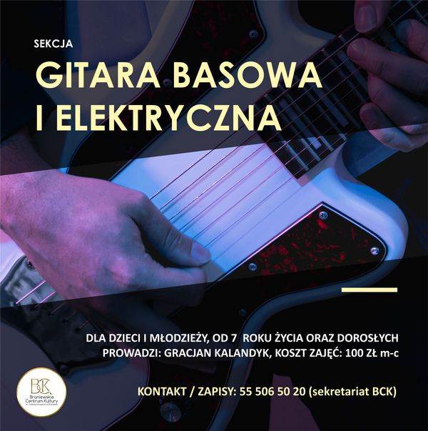 GITARA ELEK 2025